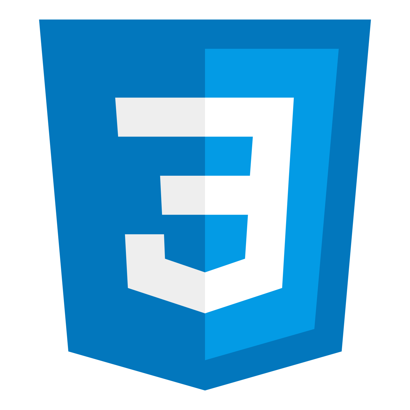 css_logo